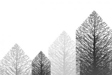 Erakusketa: «Building with Timber – Paths into the Future»